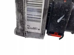 Citroen OE 9670308780 Pompa Servosterzo