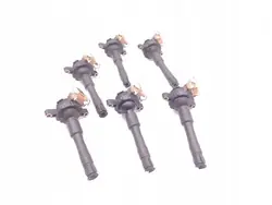 Zündspule BMW 5 Series 528i 142kW (193 HP) OEM 1730412