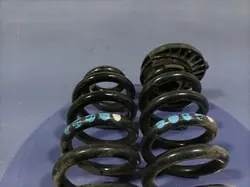 Molas suspensão traseira OEM Lochow-327469- 2 peças