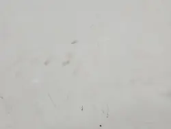 OEM IMPRK1547352 Höger Bak Glidande Dörrklädsel