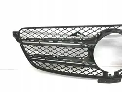 Griglia Mercedes-Benz GLE AMG 2021 A1668880260