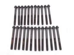 MAN L2000 LE 6.9 D0836 E3 Cylinderhuvudbultar - Begagnad