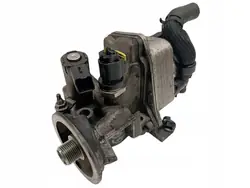 Öljynsuodinkotelo OEM 9807594380 Ford Galaxy