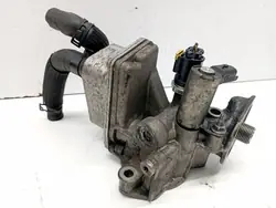 Öljynsuodinkotelo OEM 9807594380 Ford Galaxy