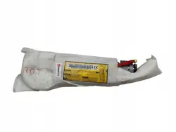 Cojín airbag asiento derecho OEM 0589-P1-000379