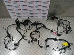 Faisceau Moteur BMW OEM 8482361 pour X3 G01 LCI 30i