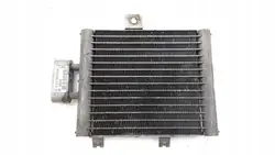 2000 Mercedes-Benz CL C215 Motoroliekoeler A2155000000