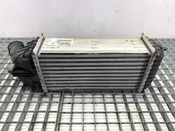 OEM 9803900780 Intercooler för Opel Crossland 1.2