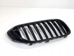 Grille Rein Droit OEM 7383520 pour BMW G31