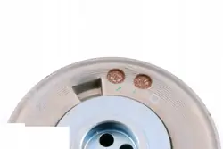 BMW OEM 8648396 Krukasdemperpoelie Gebruikt