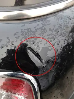 MINI COOPER R56 bakre höger stänkskärm OEM SSA34706