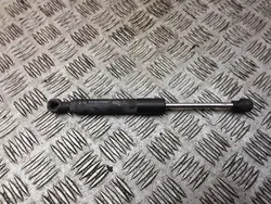 Renault Zoe Konepellitukijalat OEM AM-516831