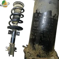 Ammortizzatore Fast FT11317