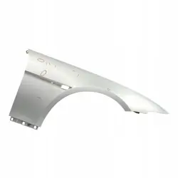 Aleta Delantera Derecha BMW OEM 2155902 - Titansilber