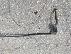 Stabilisateur arrière Honda Accord 2009 MTL29206