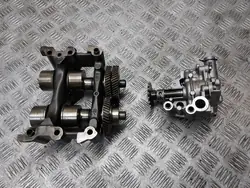 Balansaxlar + Olje pump Renault Koleos I 2.0 DCI 8200345633