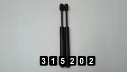 OEM AM-315202 Suportes do capô dianteiro Mini Cooper 2007
