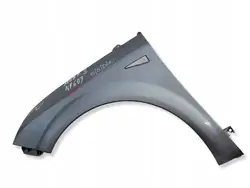 Para-lama esquerdo dianteiro OEM 55D10 Renault Megane II