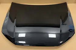 AUDI Q7 4M Motorlock LY9T