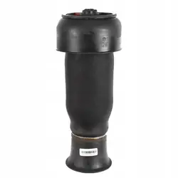 Bolsa de Suspensión de Aire Trasera Izquierda BMW X5 F15 X6 F16