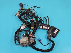 Instalación LPG LPGTECH, TECH-204