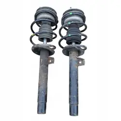 Ammortizzatore Anteriore Sinistro BMW E46 1.8B 1096851