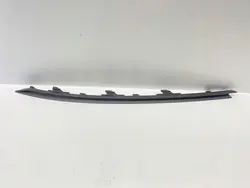 Vasemman etupuskimen koriste VW Passat B8 2014-2019