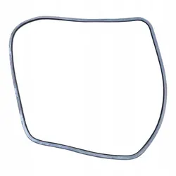 Türdichtung Vorne Links Audi OE 8E0831721D - Gebraucht