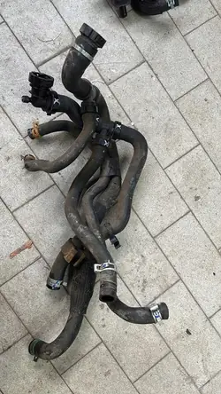 Renault Laguna III Schlauch 924000004N