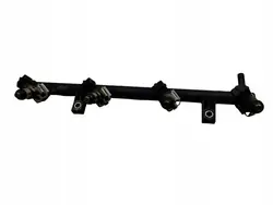 Inspuitrail Renault OE 8200766278 Laguna III 2.0T