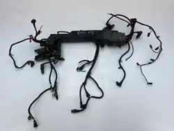 Motor Kablage OEM 74205709004 för Lastbilar