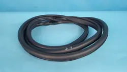 OEM 554001086AA Linke hintere Türdichtung Chery Omoda 5