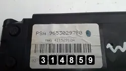 Module Antenne SAT NAV ECU OEM AM-314859 Citroen C6