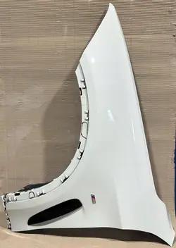 Parafango anteriore sinistro BMW X6 F16 A300