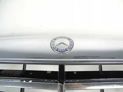 Mercedes-Benz OE A2218800083 Griglia Anteriore