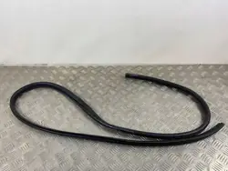 Guarnizione porta posteriore Subaru Forester SK