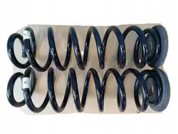 Muelles suspensión trasera OEM 5QF511115BL VW Tiguan