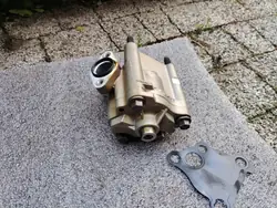 Motorölpumpe OEM AG9E 6600 AB für Ford 2.0 EcoBoost