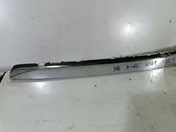 Griglia Cromata A-Class W169 A1698800383