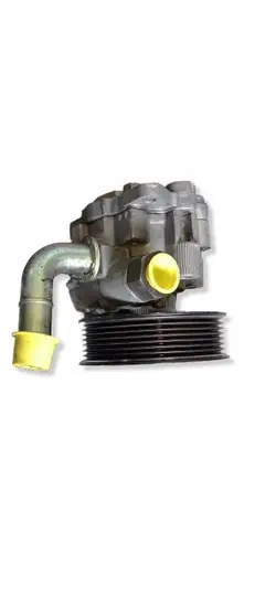 Pompe de direction assistée Jeep OEM 52124461AA - Occasion