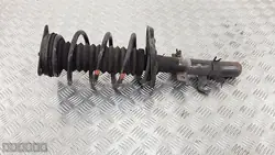 Nissan Qashqai Jousitus OEM 1a19256b