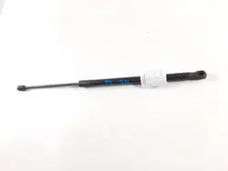 AUDI R8 II SPYDER motorhuvesstöd OEM