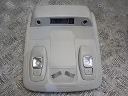 Luz Techo MEGANE IV OEM 969803013R - Usado