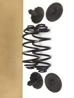 Molle sospensione posteriori + distanziatori Renault Kangoo II OEM