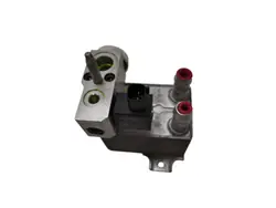 Expansieklep Ford Mustang Mach-E OEM LJ9H-10C708-AE