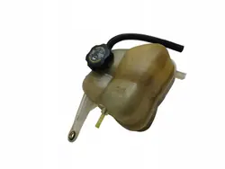 Réservoir d'expansion Cadillac SRX OEM 25767641 4.56L
