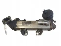 Refrigerador EGR Renault OEM H8200620695 - Usado