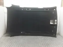 Himmel BMW X5 E70 OEM 4046719 - Gebraucht