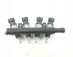 Carrera de inyección GLP OEM 67R-015381 - Usado