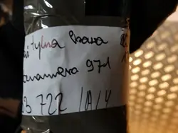 OEM 971833722 bakdörrs tätning för Porsche Panamera 971